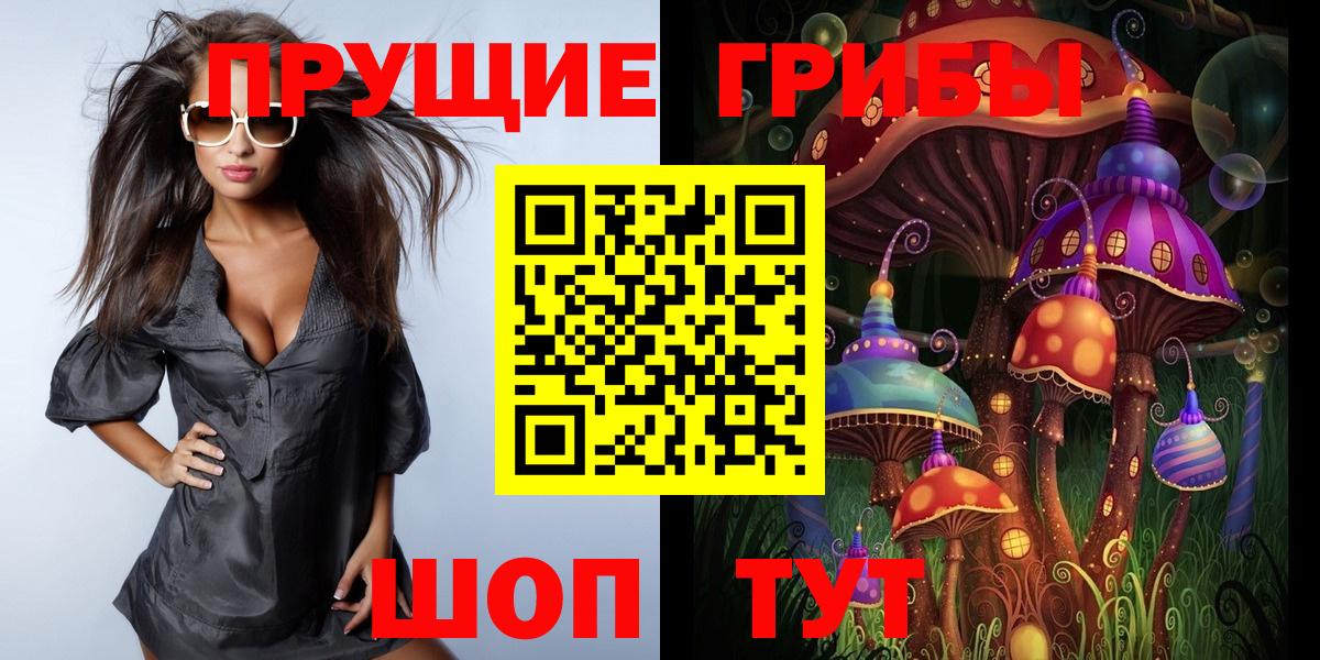 Галлюциногенные грибы GOLDEN TEACHER  Вход с VPN  купить закладку  Новый Уренгой 